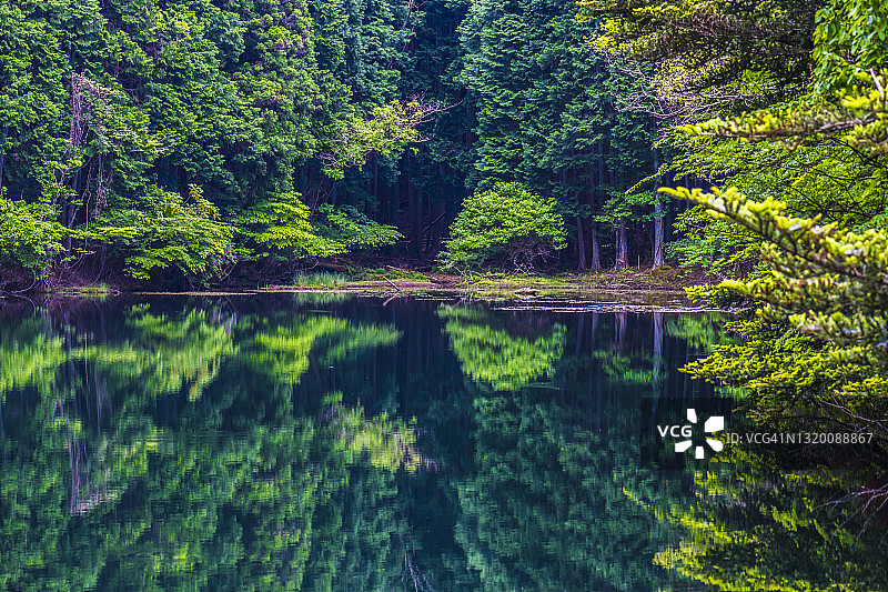 反射。湖面上的森林。Nabari,米氏日本图片素材
