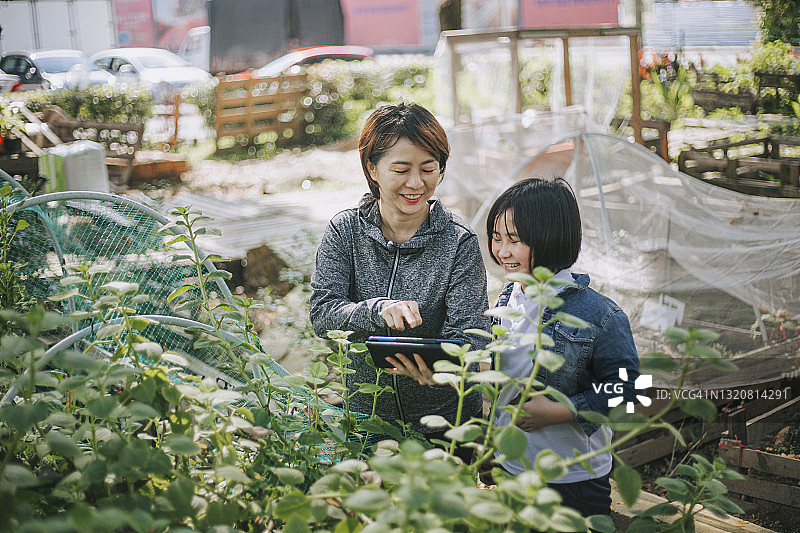 一位亚洲华裔母亲在自家后院用数码平板电脑向女儿们讲解园艺植物图片素材