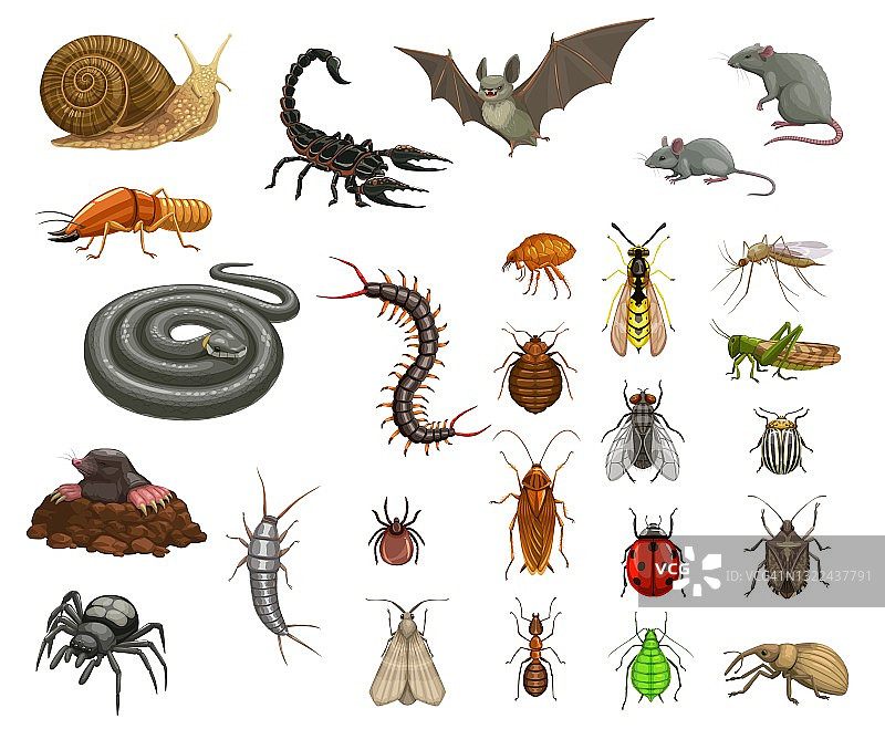 农业、家庭害虫、昆虫和动物集图片素材