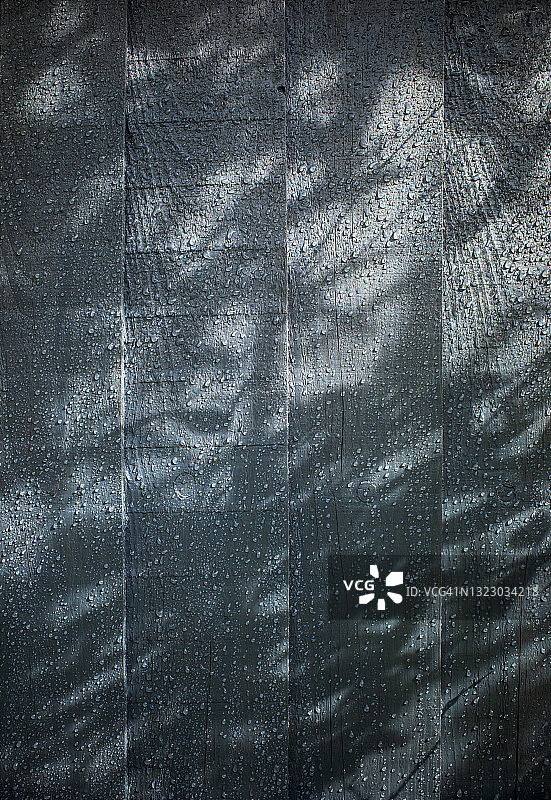 篱笆上的雨点和影子图片素材