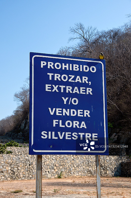 公园内的西班牙语标牌上写着“禁止切割、移除和/或出售野生植物”(禁止切割、移除或出售野生植物)。图片素材