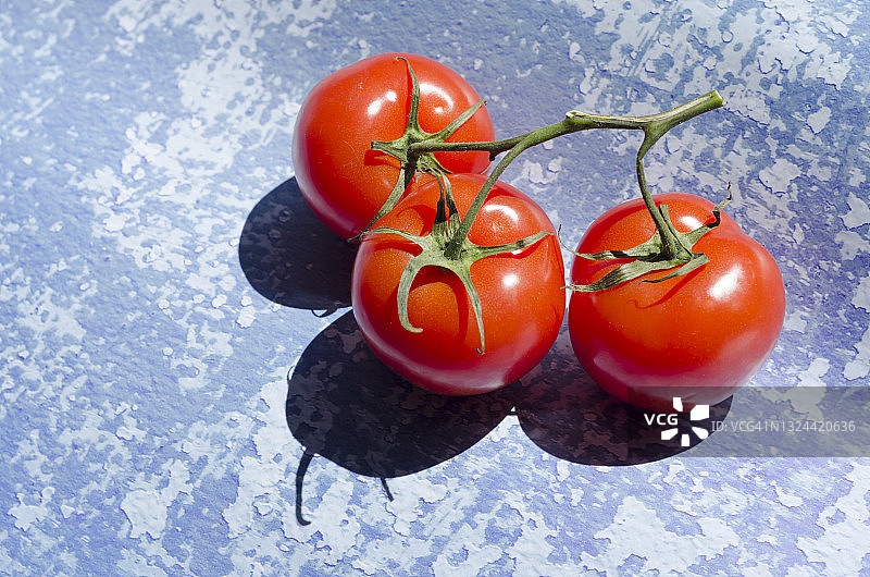 藤西红柿在蓝色的背景，俯视图图片素材