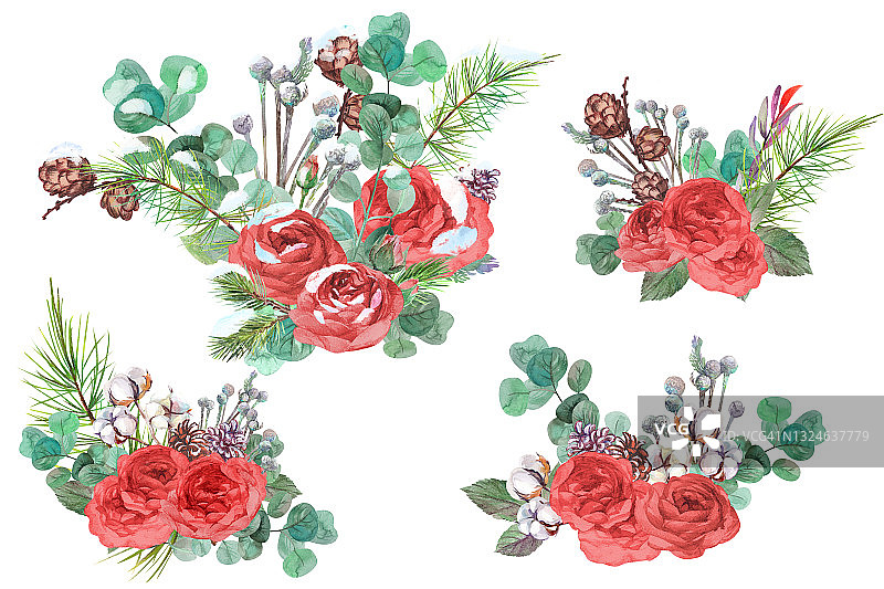 水彩收集的圣诞冬季花束与红玫瑰和雪孤立在白色的背景图片素材