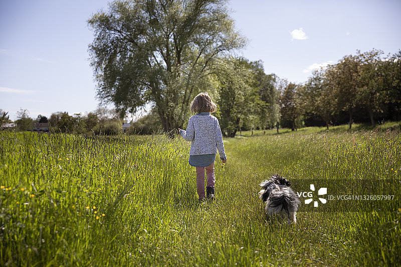 一个阳光明媚的日子，孩子和宠物狗一起走过草地上的绿草图片素材