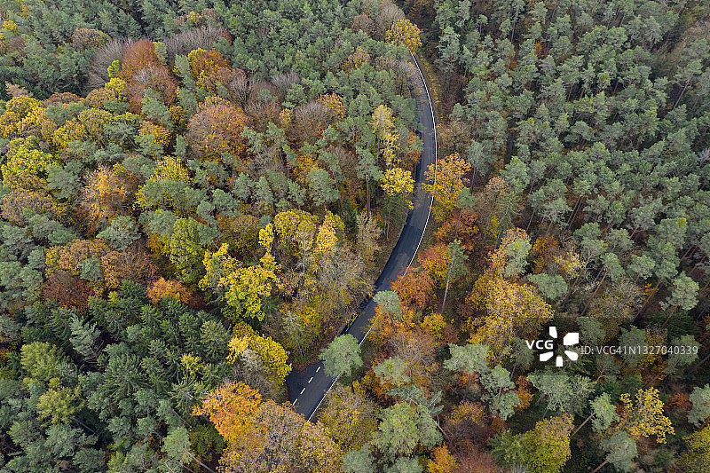 秋天穿过森林的道路鸟瞰图。施泰格瓦尔德，弗朗哥尼亚，德国，欧洲。图片素材