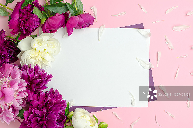 白色的白纸和牡丹花在粉红色的背景。空白的贺卡或请帖图片素材