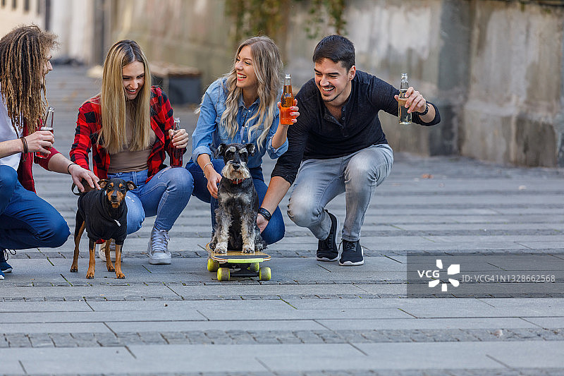 一群欢快的年轻人一边喝着冷饮，一边和他们可爱的狗狗玩滑板。图片素材