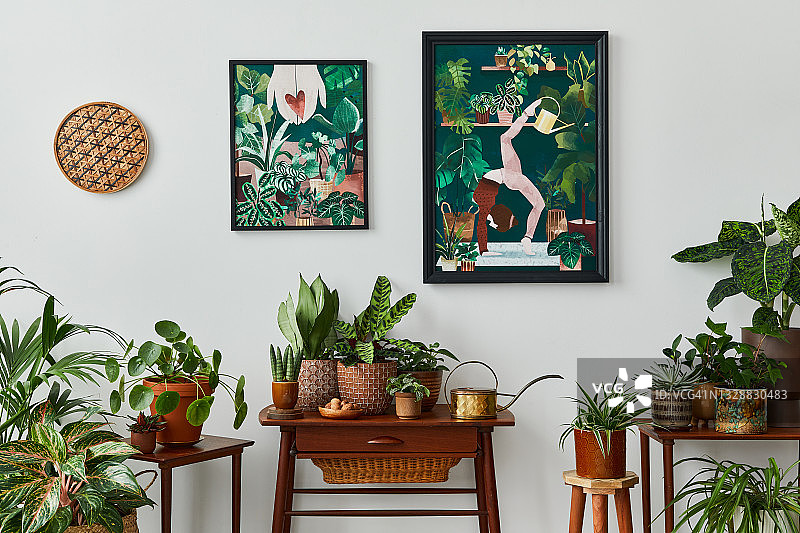 复古客厅的室内设计，时髦的老式扶手椅，架子，室内植物，仙人掌，装饰，地毯和两个模拟海报框架在白墙上。植物学家居装饰。模板。图片素材