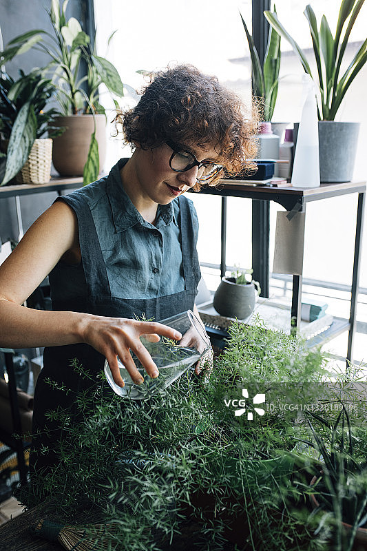 美丽的女园丁在她的店里给植物浇水图片素材