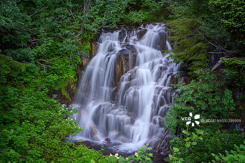瀑布溪瀑布沿着史蒂文斯峡谷路在山雷尼尔国家公园，华盛顿州图片素材