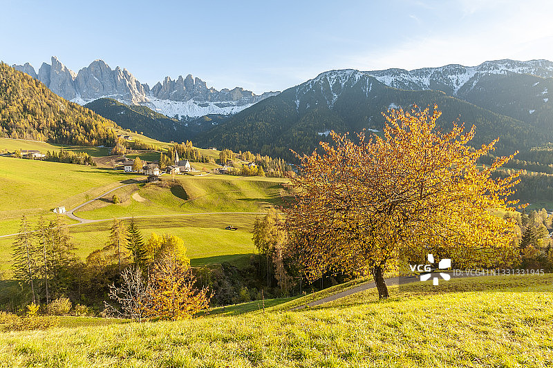 圣玛格达莱纳村在Geisler Dolomites前，富内斯，博尔扎诺省，特伦蒂诺阿尔阿迪杰，意大利图片素材