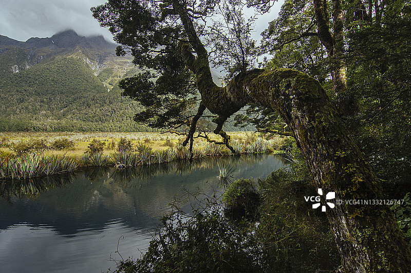 风景优美的厄尔山反射在镜湖，峡湾国家公园，新西兰图片素材