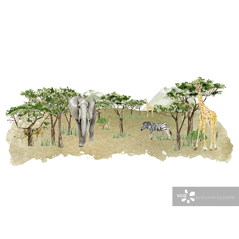 水彩草原野生动物插图。非洲的景观由树木、大象、长颈鹿、斑马、豹子和绿色的山组成。墙艺术打印。幼儿园小装饰。图片素材