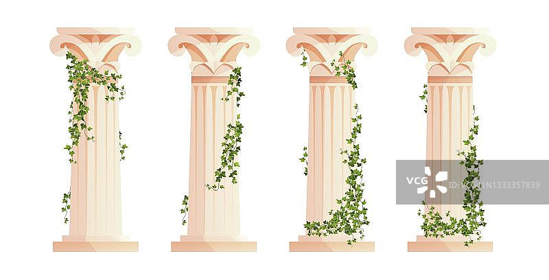 带有常春藤爬满枝干的古希腊圆柱。罗马柱。建筑设计元素及装饰。卡通矢量插图。图片素材