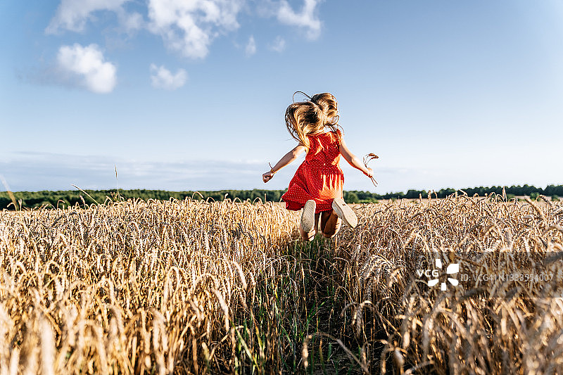 照片来自一个小女孩的背后在成熟的麦田里跳日落。图片素材