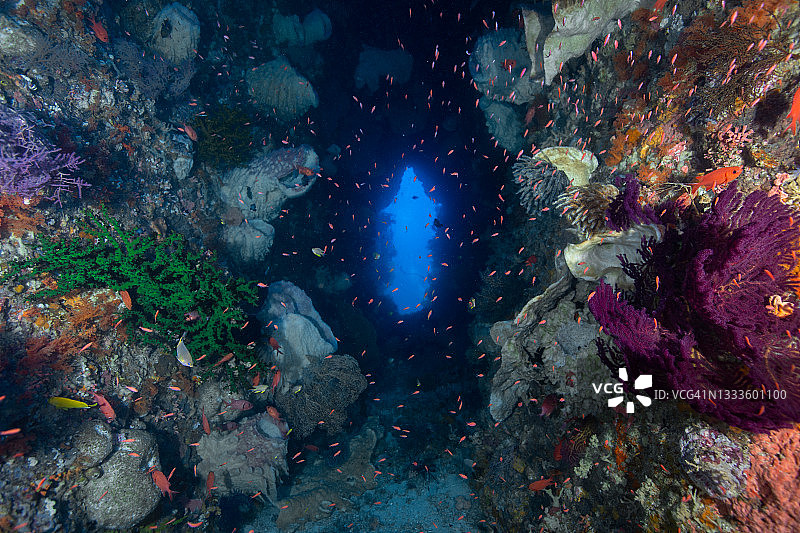 充满五颜六色珊瑚的水下通道图片素材