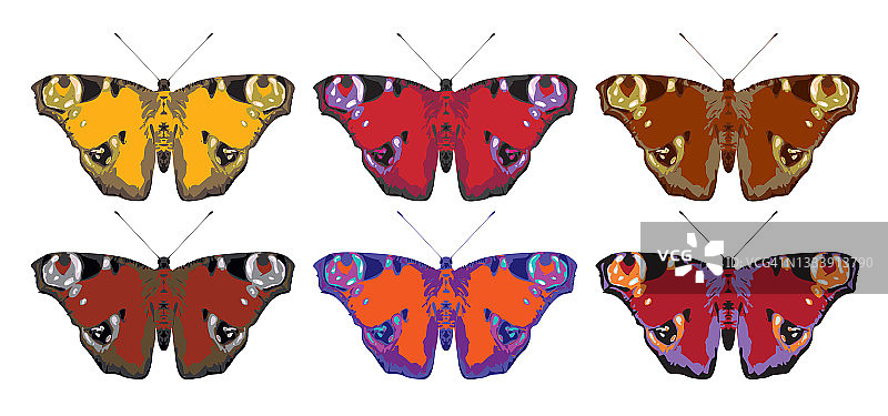 一组孔雀眼蝴蝶，张开翅膀图片素材
