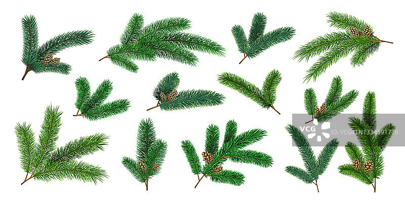 现实的圣诞树树枝和杉木树枝与松果。常绿的圣诞松装饰花环。三维森林松针向量集图片素材