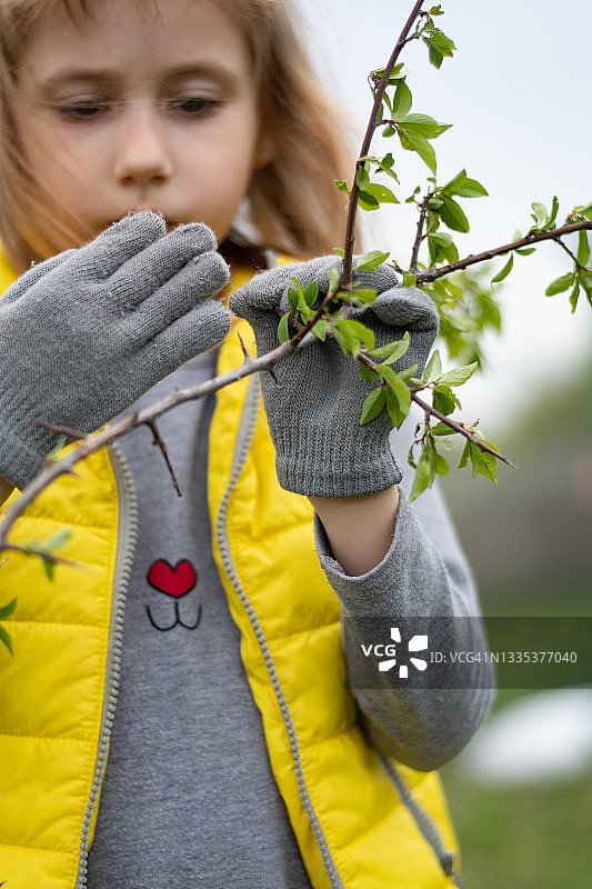 戴着灰色手套的园丁小女孩拿着新鲜树叶的树枝图片素材