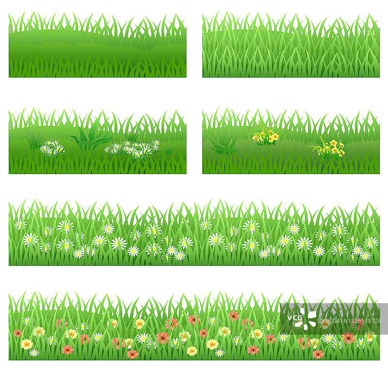 草坪上的一套花园花图片素材