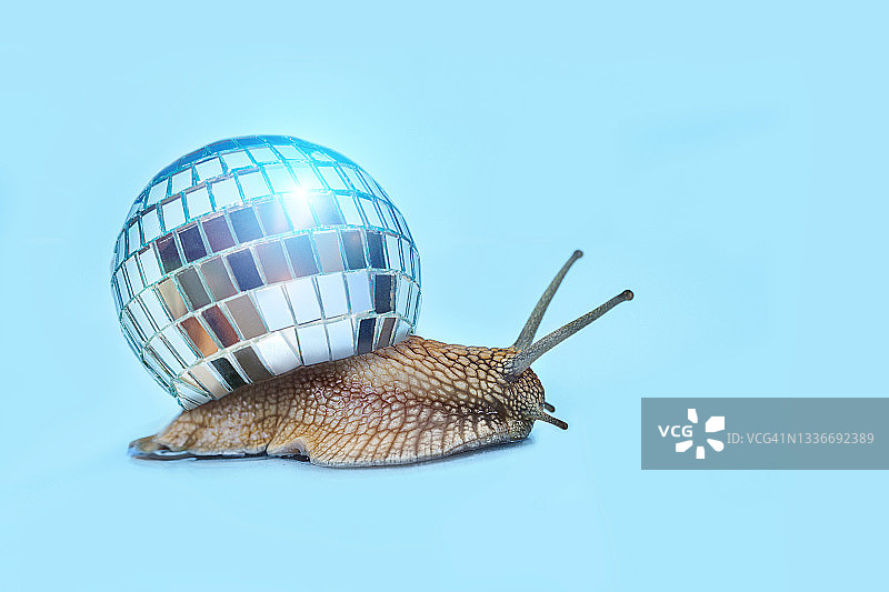 蜗牛与新年迪斯科球在柔和的蓝色背景。图片素材