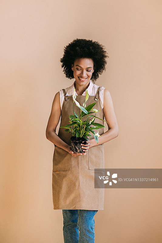简单的室内植物护理小贴士，让你的植物保持健康图片素材