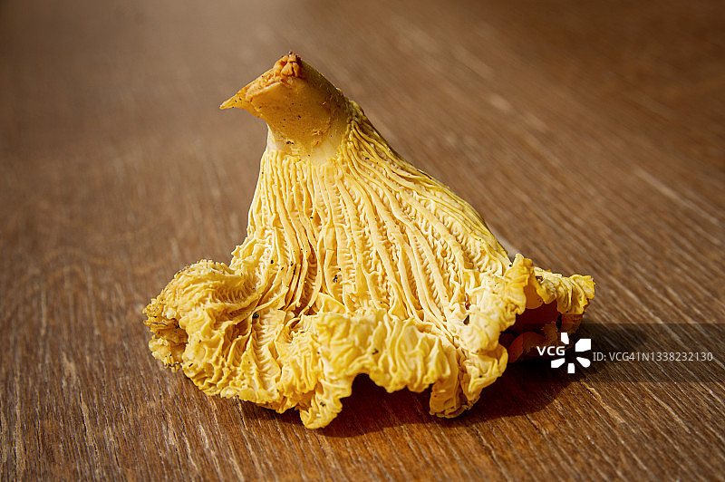 美味的新鲜素食秋鸡油菌木制背景图片素材