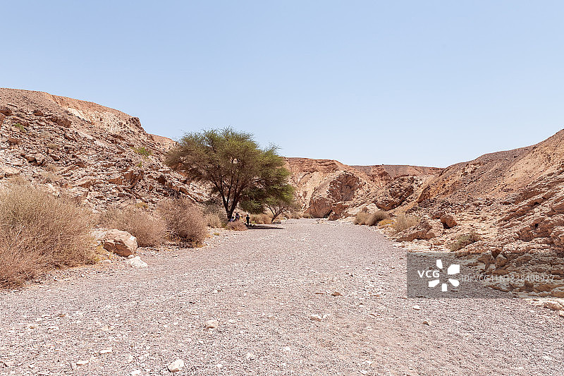 在以色列南部，沿着干涸的河床到埃拉特市附近的自然保护区的一条小路——红峡谷图片素材