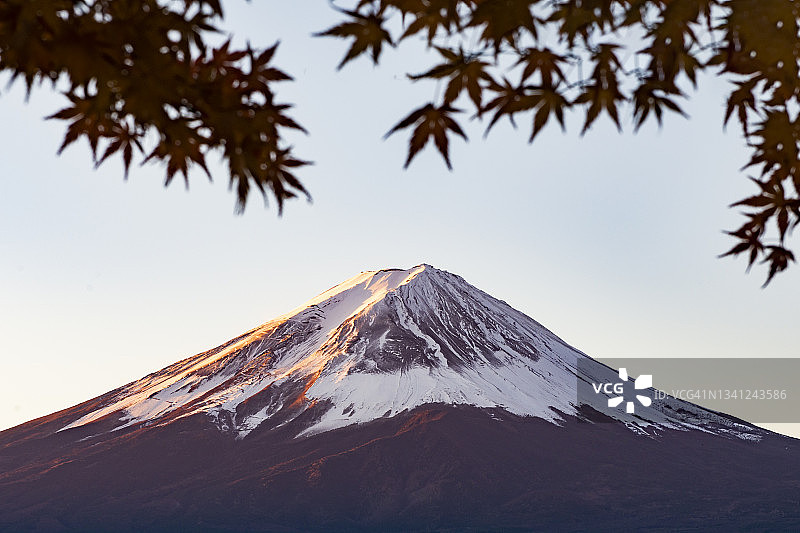 日本川口湖的富士山和秋天的枫叶图片素材