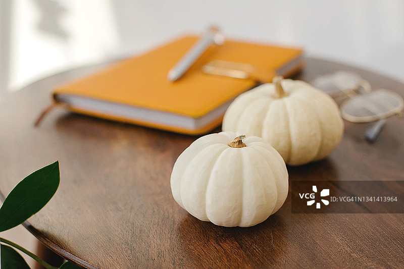 秋天的装饰细节白色南瓜，橙色的笔记本，铅笔，眼镜在桌子上。温馨的家静物图片素材