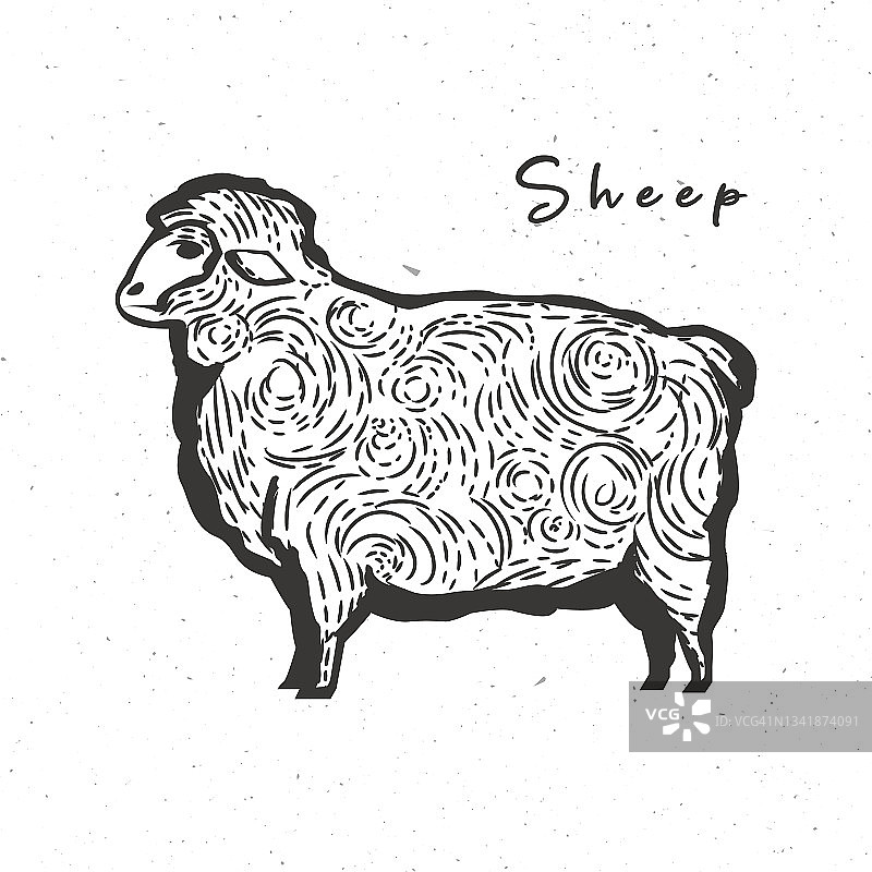 羊图标。羊的古写生孤立在白色背景上。专为徽记、徽章、海报设计的农场动物。矢量图图片素材