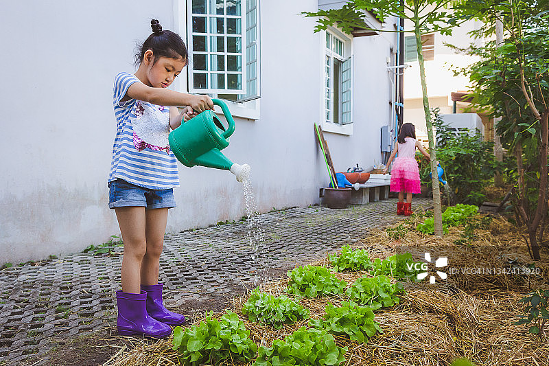 一个亚洲小女孩在后院的菜园里用喷壶给植物浇水图片素材