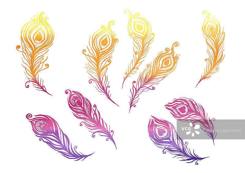水彩画的鸟类羽毛元素的风格在白色的背景上的线条艺术。紫色，黄色，橙色，粉色和紫色的羽毛图片素材