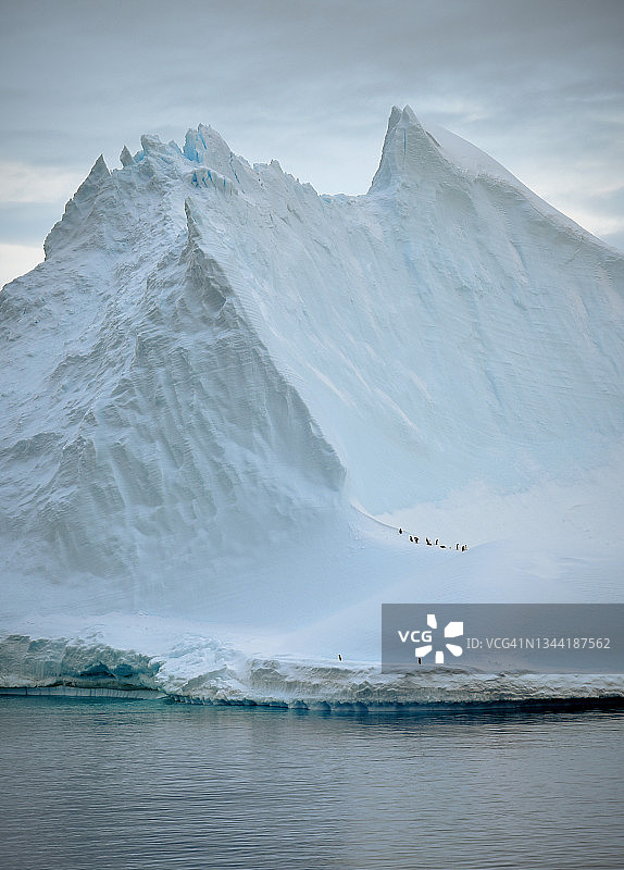 南极洲，南大洋，一群Adélie企鹅(Pygoscelis adeliae)在一座引人注目的冰山底部。图片素材