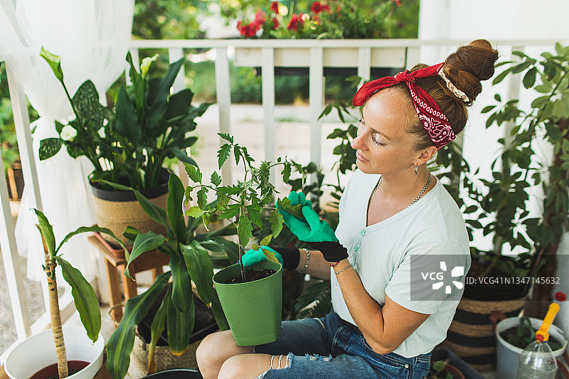 年轻的Ñ澳大利亚妇女在家里的阳台上种植室内植物。图片素材