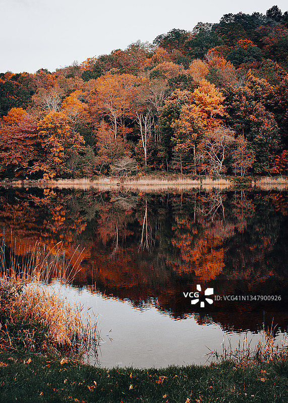 秋天的色彩-美丽的湖和森林小山与秋天的色彩图片素材