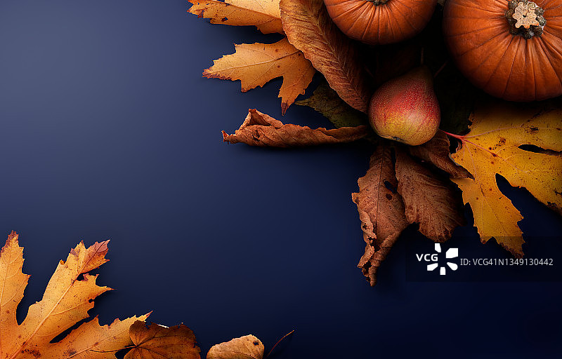 蓝色的桌子上放着一张感恩节秋收的背景画，上面有南瓜、梨子和树叶。图片素材