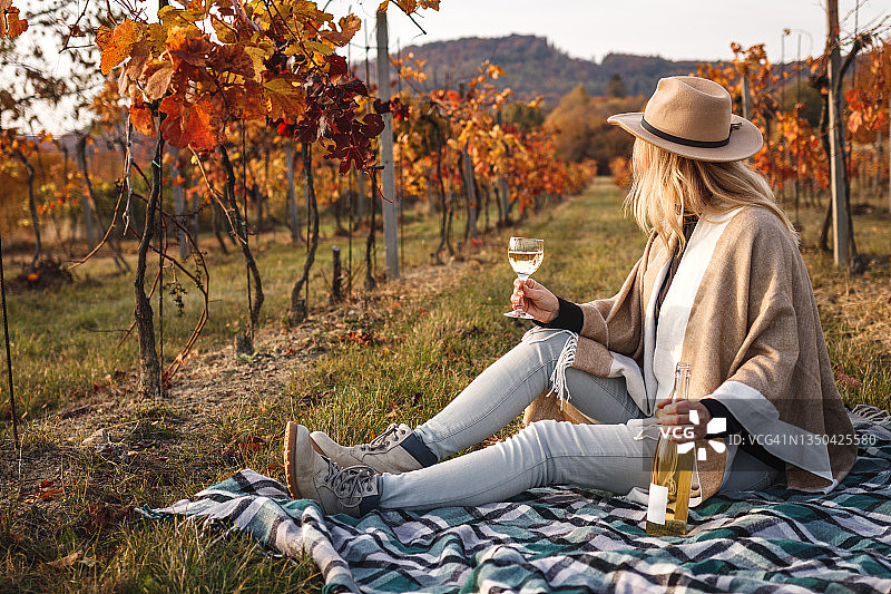 女人在秋天的葡萄园里品尝葡萄酒图片素材