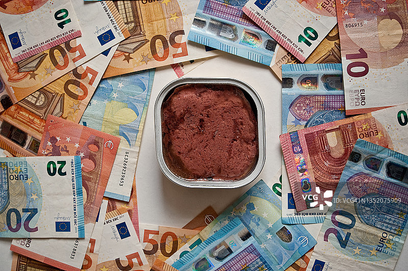 猫粮+欧元钞票图片素材