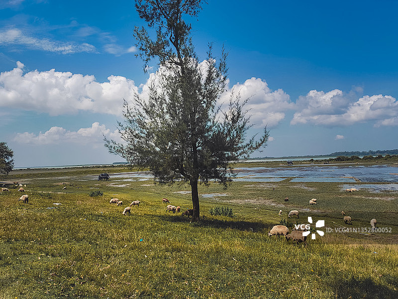 科克斯巴扎尔的自然河流和草原的移动设备照片图片素材