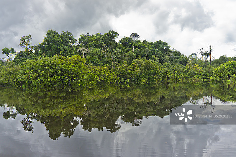 亚马逊河反射，巴西，南美图片素材