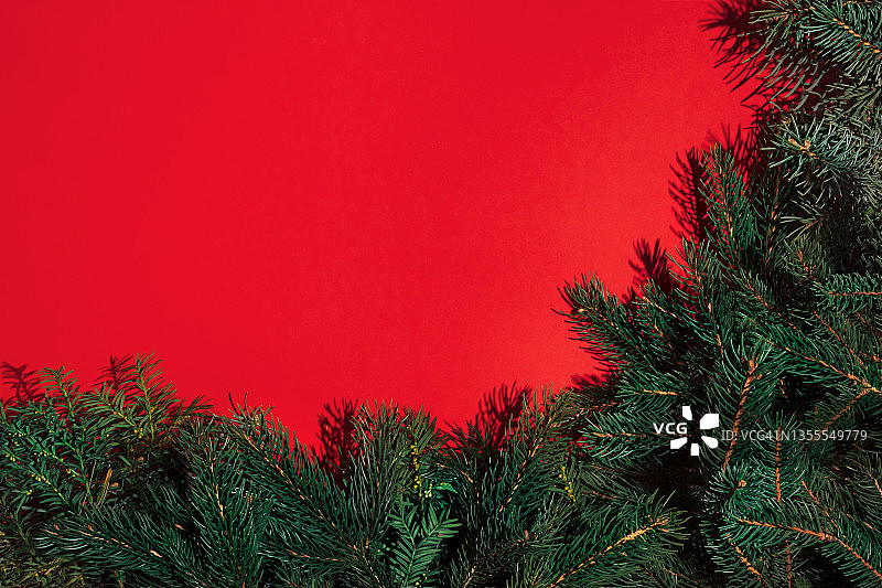用红色背景上的圣诞树树枝做的创意布局。平的。自然圣诞概念与复制空间。图片素材