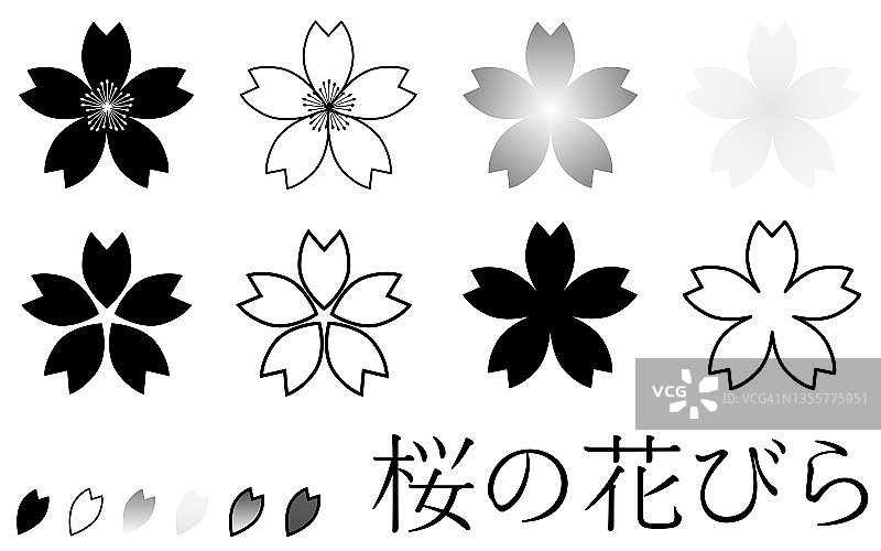 樱桃花瓣，黑色和白色图片素材