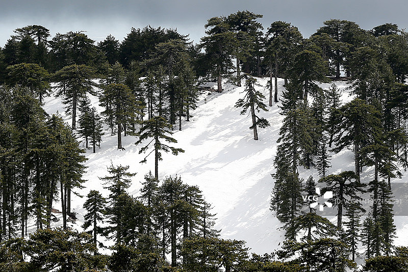 冬季雪山景观图片素材