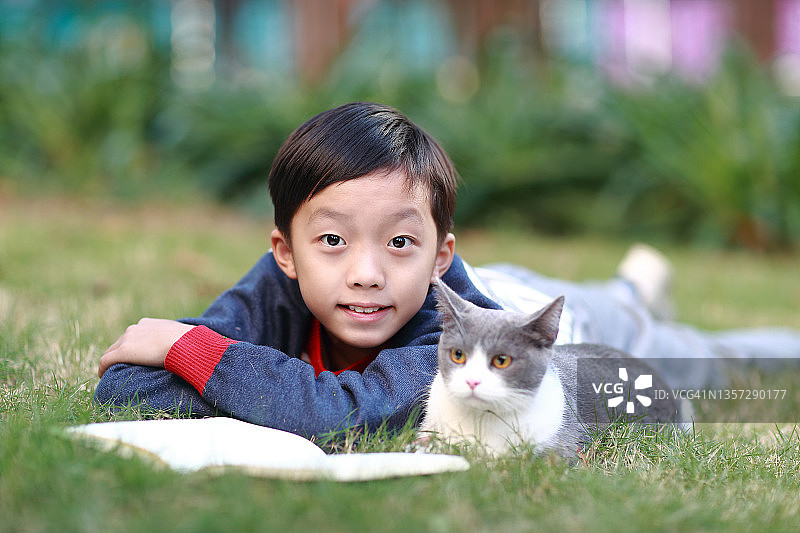 一个男孩和他的猫一起看书图片素材