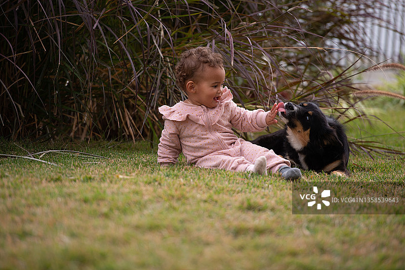 可爱的宝宝在户外和狗狗玩耍。图片素材