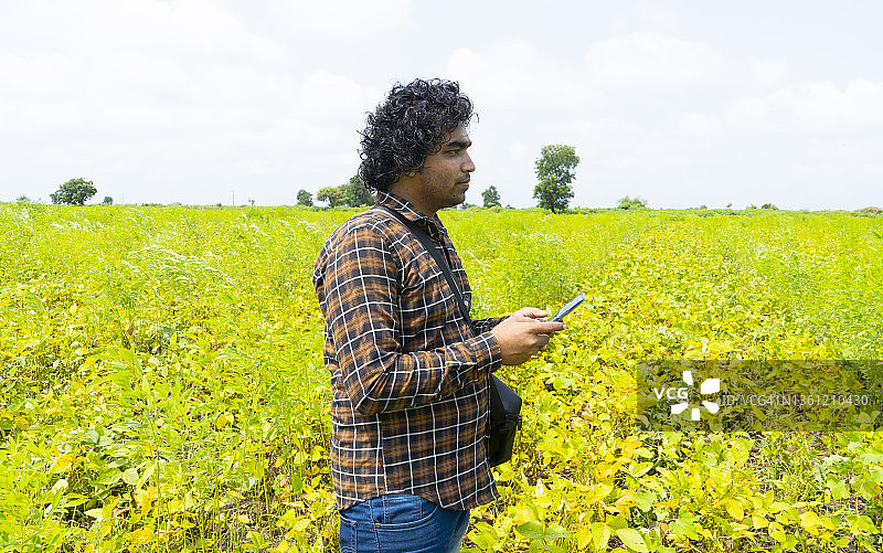 印度农民在绿色农业领域使用智能手机。图片素材