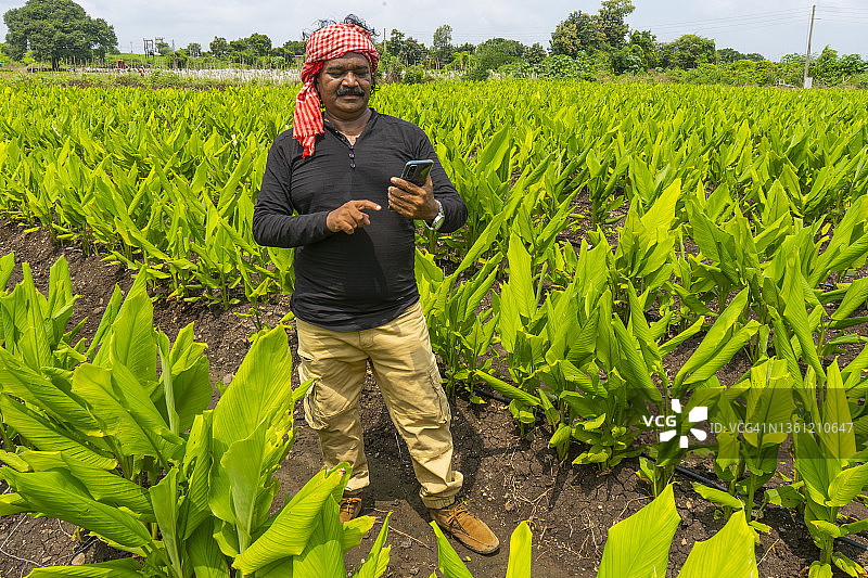 印度农民在绿色农业领域使用智能手机。图片素材