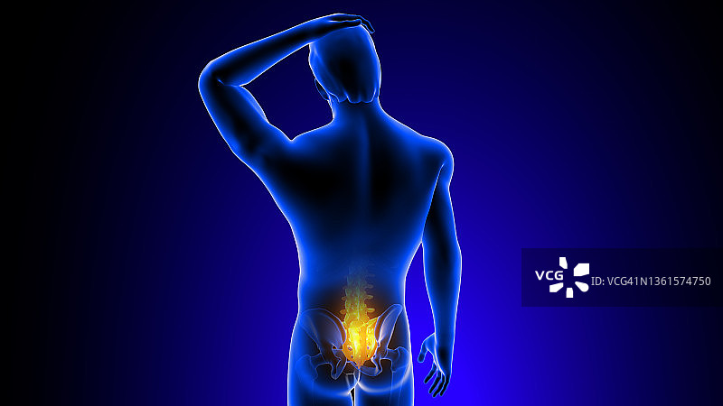 三维骶椎关节疼痛解剖概念图片素材