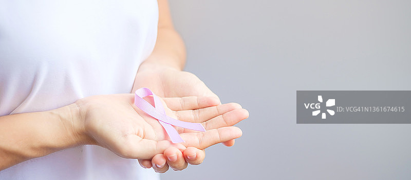世界癌症日(2月4日)，妇女手握薰衣草紫丝带，为生活和疾病的人们提供支持。医疗保健与医疗概念图片素材